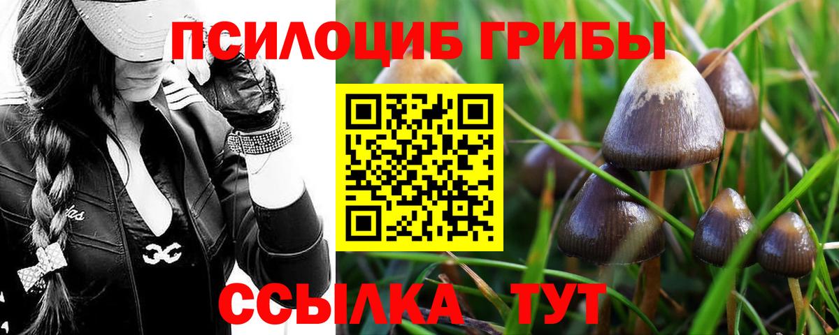 Новокубанск  Псилоцибиновые грибы прущие грибы  Вход с VPN  Галлюциногенные грибы мицелий 